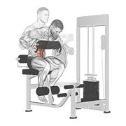 Ab Crunch Machine, peak position