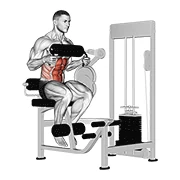 Ab Crunch Machine, start position