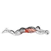 Ab Wheel Rollout, peak position