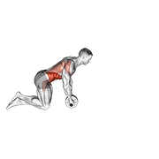 Ab Wheel Rollout, start position