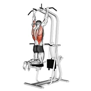 Assisted Pull-up, peak position
