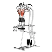 Assisted Pull-up, start position