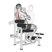 Back Extension, peak position
