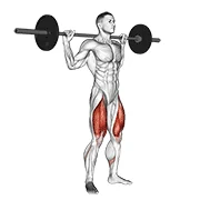 Back Squat, start position