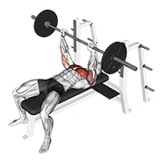 Barbell Bench Press, peak position