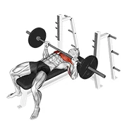 Barbell Bench Press, start position