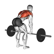 Barbell Row, start position