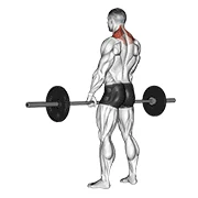 Barbell Shrug, start position