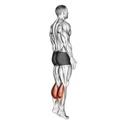 Bodyweight Calf Raise, peak position