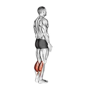 Bodyweight Calf Raise, start position
