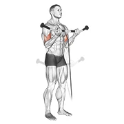 Cable Curl, peak position