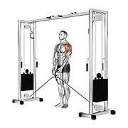 Cable Lateral Raise, start position
