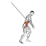 Cable Woodchop, peak position