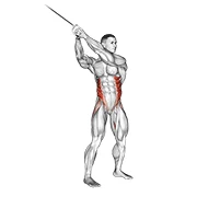 Cable Woodchop, start position