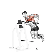 Chest Dip, peak position