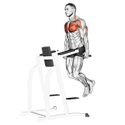 Chest Dip, start position