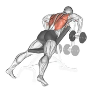 Chest-Supported Row, peak position