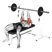 Close-Grip Bench Press, peak position