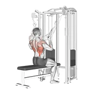 Close-Grip Pulldown, peak position