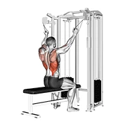 Close-Grip Pulldown, start position
