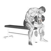 Concentration Curl, peak position