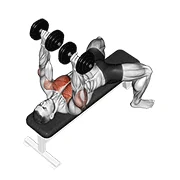 Dumbbell Bench Press, peak position