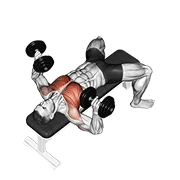 Dumbbell Bench Press, start position