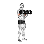 Dumbbell Curl, peak position