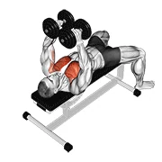 Dumbbell Fly, peak position