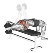 Dumbbell Pullover, peak position