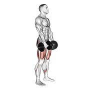 Dumbbell RDL, peak position