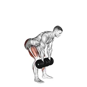 Dumbbell RDL, start position