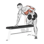 One-Arm Dumbbell Row, peak position