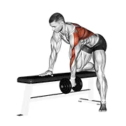 One-Arm Dumbbell Row, start position