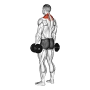 Dumbbell Shrug, start position