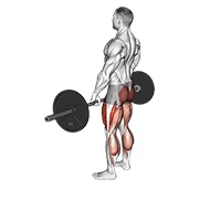Deadlift, peak position