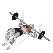 Decline Barbell Bench Press, start position