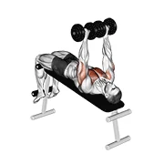 Decline Dumbbell Press, peak position