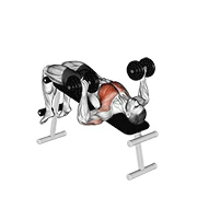 Decline Dumbbell Press, start position