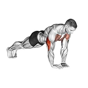 Diamond Push-up, start position