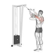 Face Pull, peak position
