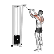 Face Pull, start position