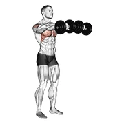 Front Raise, peak position