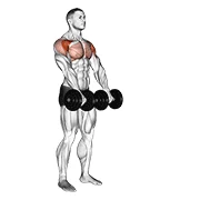 Front Raise, start position