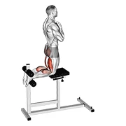 Glute-Ham Raise, start position