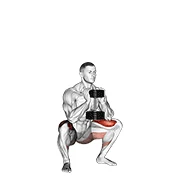 Goblet Squat, peak position