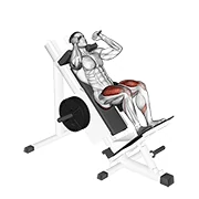 Hack Squat, peak position
