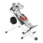 Hack Squat, start position
