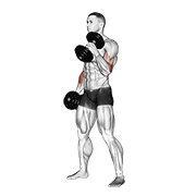 Hammer Curl, start position