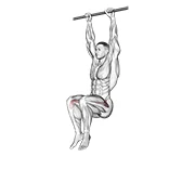 Hanging Leg Raise, peak position